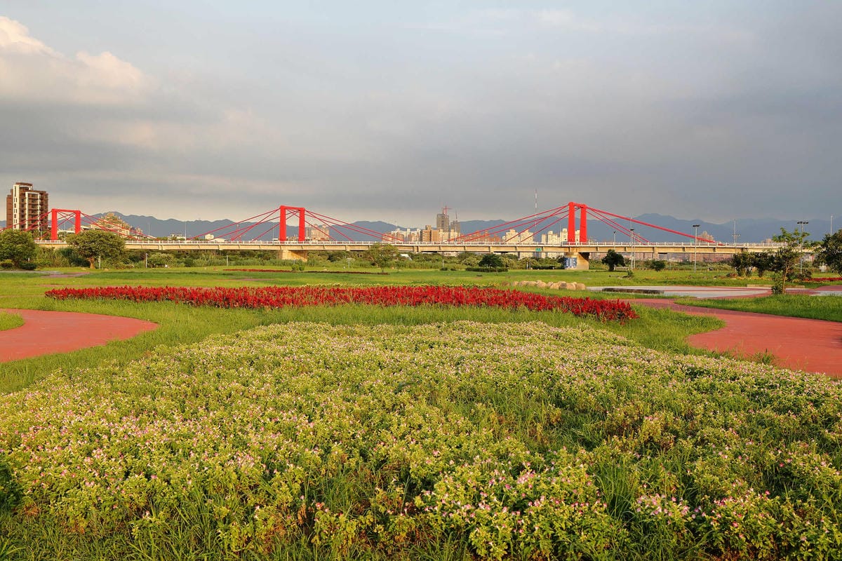 【遊。板橋】板橋新亮點！萬板橋下3D彩繪牆VS蝴蝶公園地景花海，地景藝術打卡必遊！