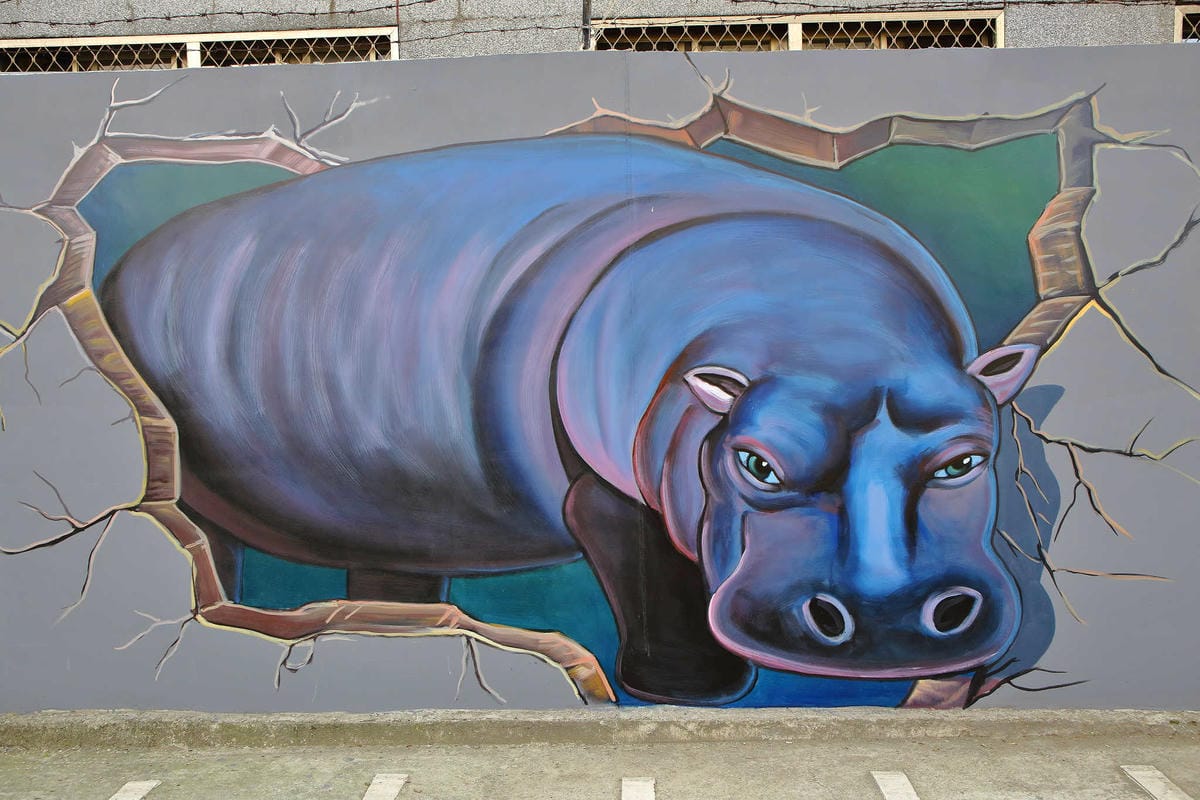 【遊。板橋】板橋新亮點！萬板橋下3D彩繪牆VS蝴蝶公園地景花海，地景藝術打卡必遊！