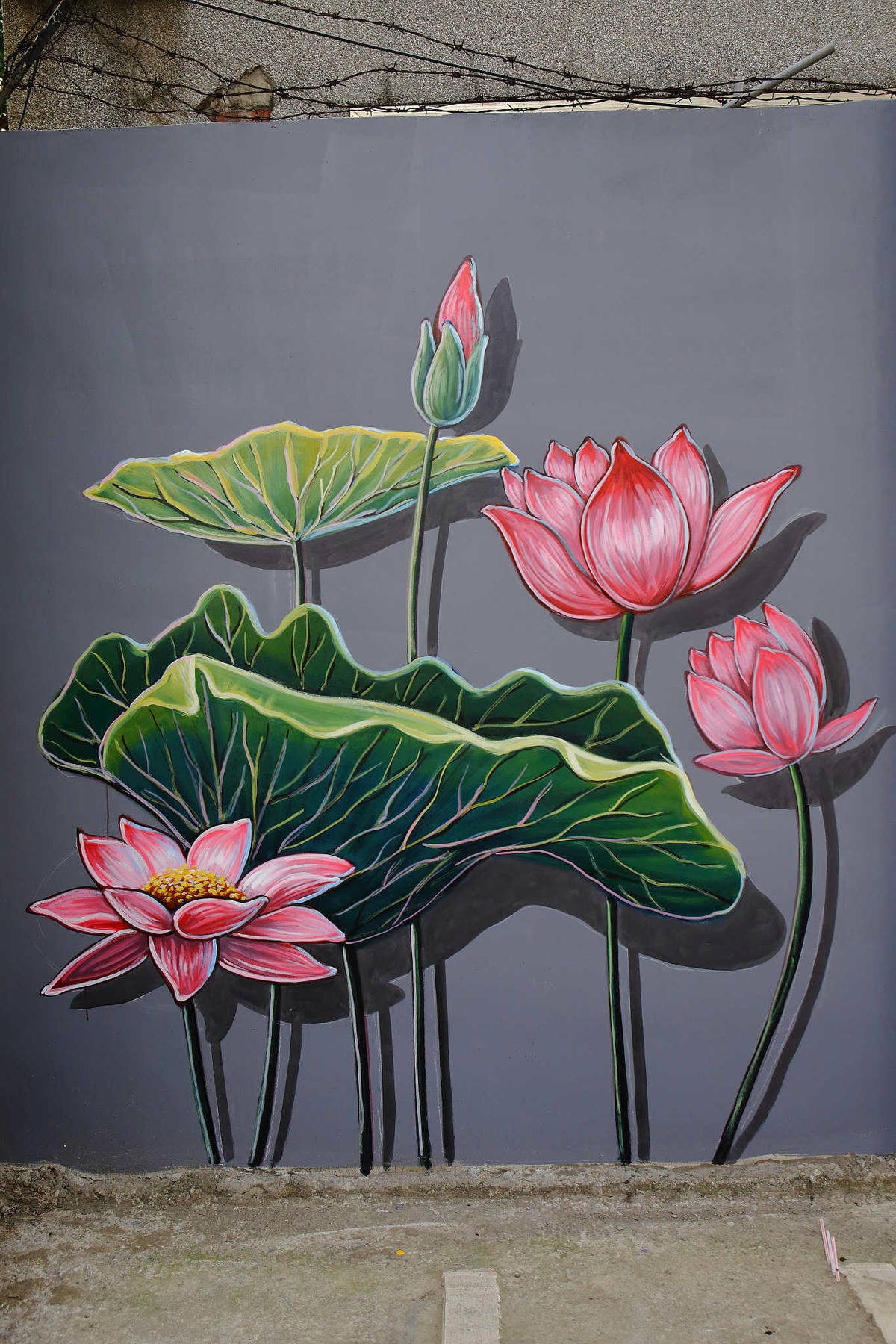 【遊。板橋】板橋新亮點！萬板橋下3D彩繪牆VS蝴蝶公園地景花海，地景藝術打卡必遊！