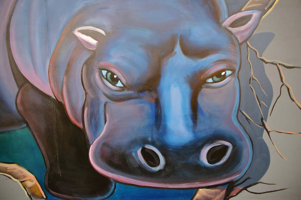 【遊。板橋】板橋新亮點！萬板橋下3D彩繪牆VS蝴蝶公園地景花海，地景藝術打卡必遊！