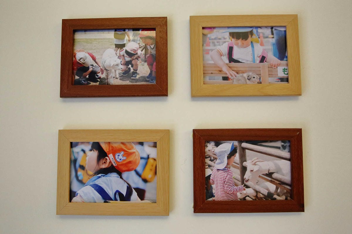 【食。台中】和食  望月〜精緻日本料理首次推出商業午餐！擺盤像調色盤般繽紛又亮眼