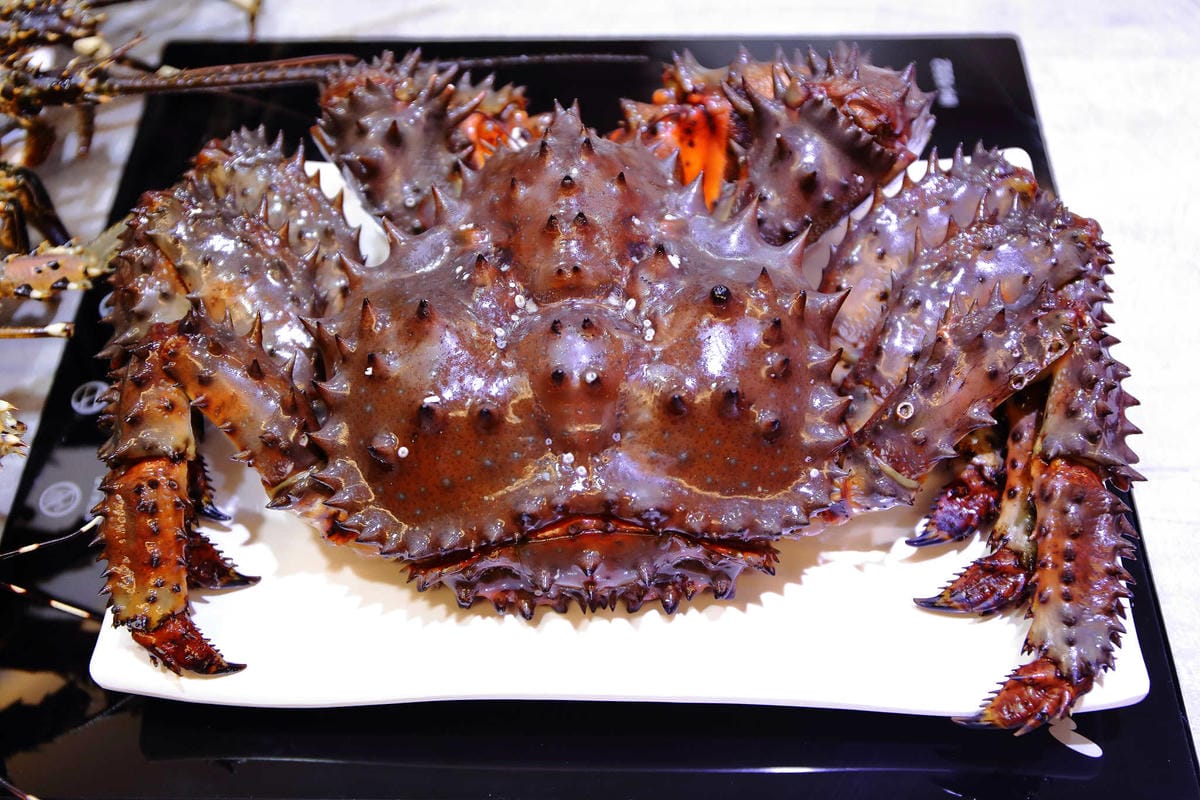 【食。永和】上官木桶鍋〜新開幕！痛風系美食襲永和！浮誇大份量，海鮮派與肉食者一次滿足！