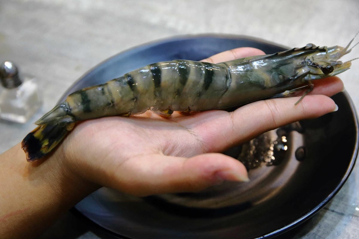 【食。永和】上官木桶鍋〜新開幕！痛風系美食襲永和！浮誇大份量，海鮮派與肉食者一次滿足！