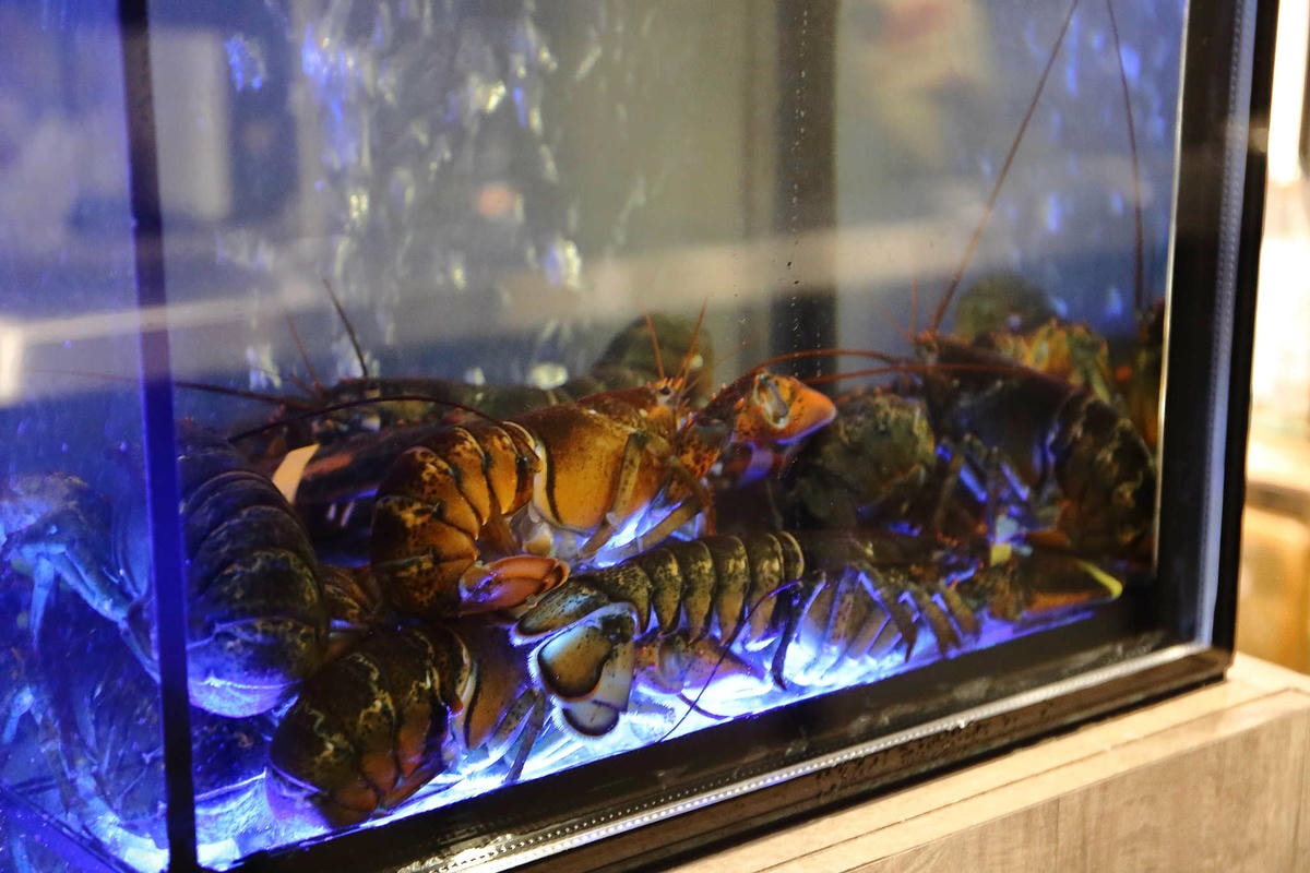 【食。台北】TBS剔邦饈Teppanyaki〜忠孝敦化/鐵板燒。低調奢華的饗宴,有好食材才能端出鐵板極致美味,海陸大餐高貴不貴!