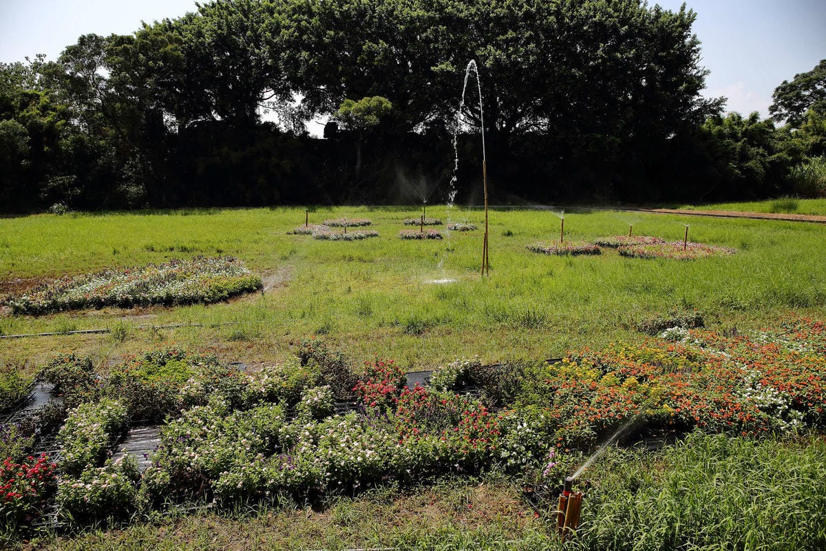 【遊。桃園】2017桃園地景藝術節〜搶先看！親子同遊，一起來秘境尋找地景！(最詳細彙整)