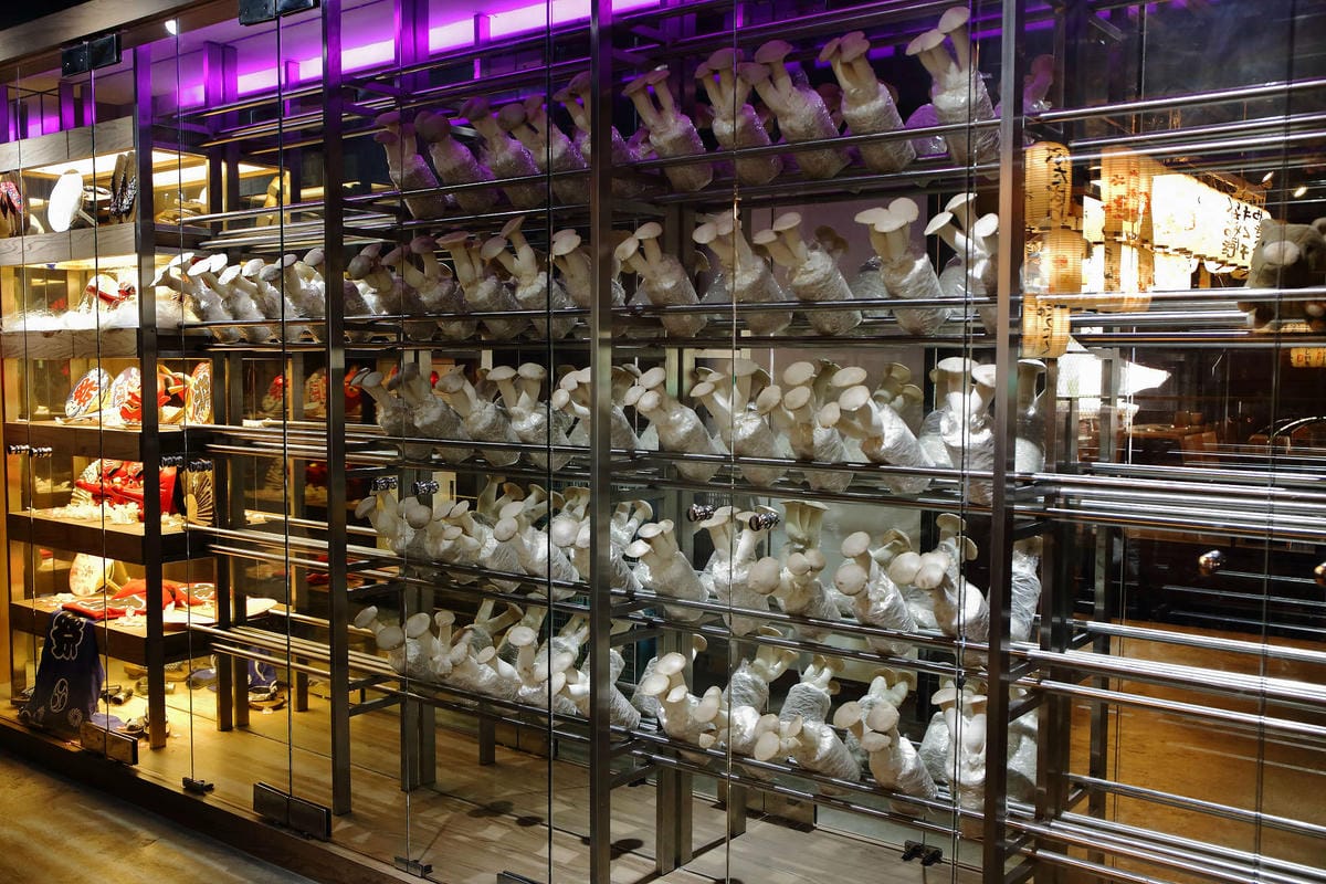 【食。台中】山鯨燒肉〜單點式燒肉精緻/豪華雙人套餐。櫻花樹下吃燒肉，濃濃的日式風味，超浪漫又好拍！