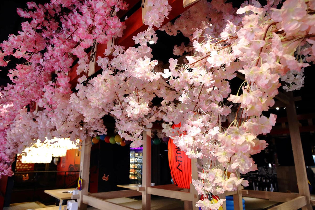 【食。台中】山鯨燒肉〜單點式燒肉精緻/豪華雙人套餐。櫻花樹下吃燒肉，濃濃的日式風味，超浪漫又好拍！