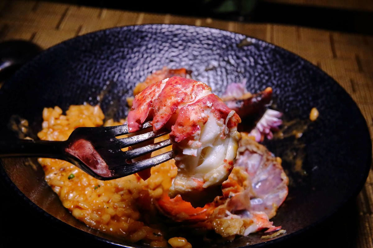 【食。台北】FUJI Flower 義法餐廳 松菸店〜網美秘境！讓少女心噴發的森林系餐廳，以不同花卉入菜，超吸睛！