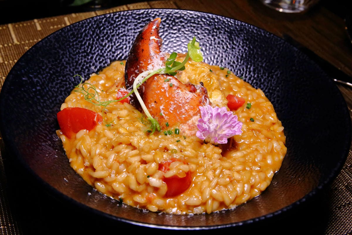 【食。台北】FUJI Flower 義法餐廳 松菸店〜網美秘境！讓少女心噴發的森林系餐廳，以不同花卉入菜，超吸睛！