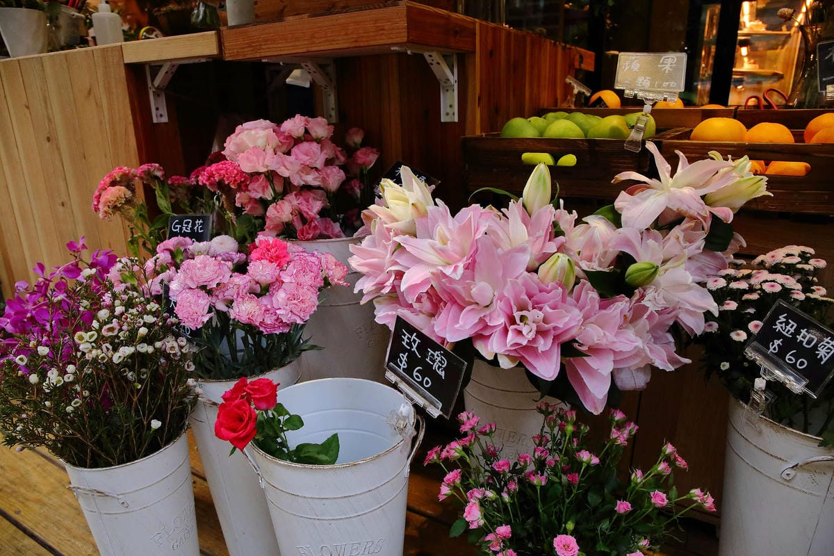 【食。台北】FUJI Flower 義法餐廳 松菸店〜網美秘境！讓少女心噴發的森林系餐廳，以不同花卉入菜，超吸睛！