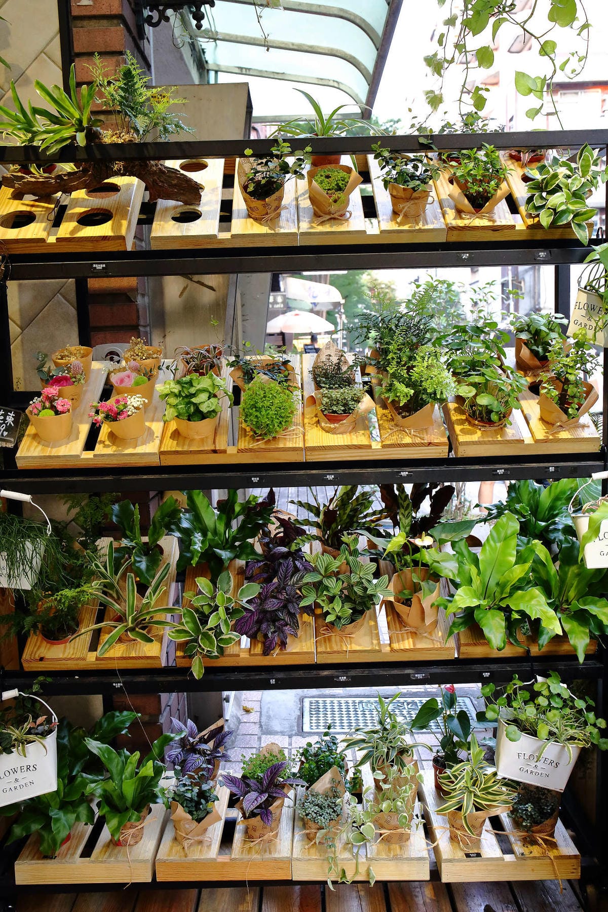 【食。台北】FUJI Flower 義法餐廳 松菸店〜網美秘境！讓少女心噴發的森林系餐廳，以不同花卉入菜，超吸睛！