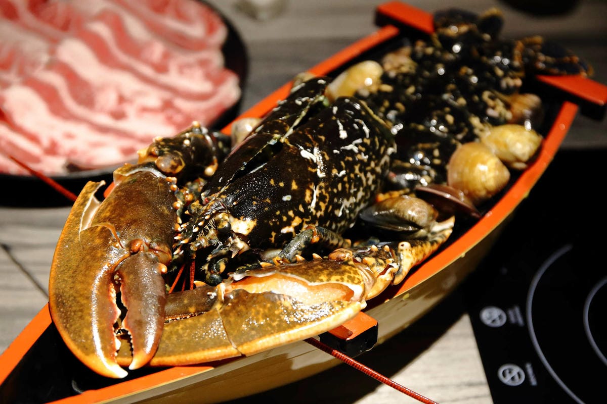 【食。新莊】湯正黑潮涮涮〜新莊火鍋。超新鮮龍蝦澎湃上桌，還有隱藏版「藍龍蝦」！