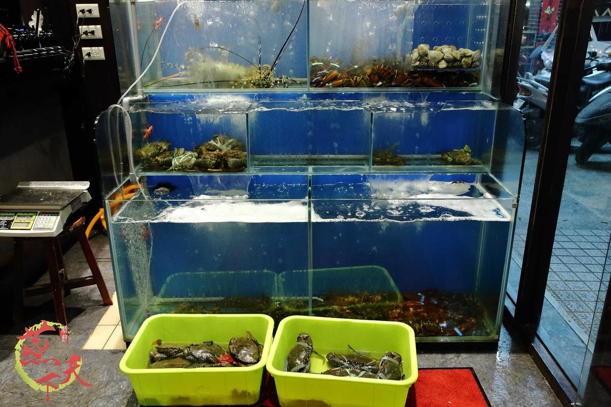 【食。板橋】蒸天下蒸氣火鍋〜夠『青』才敢大聲!「蒸」的料理,品嘗其最原始的美味!