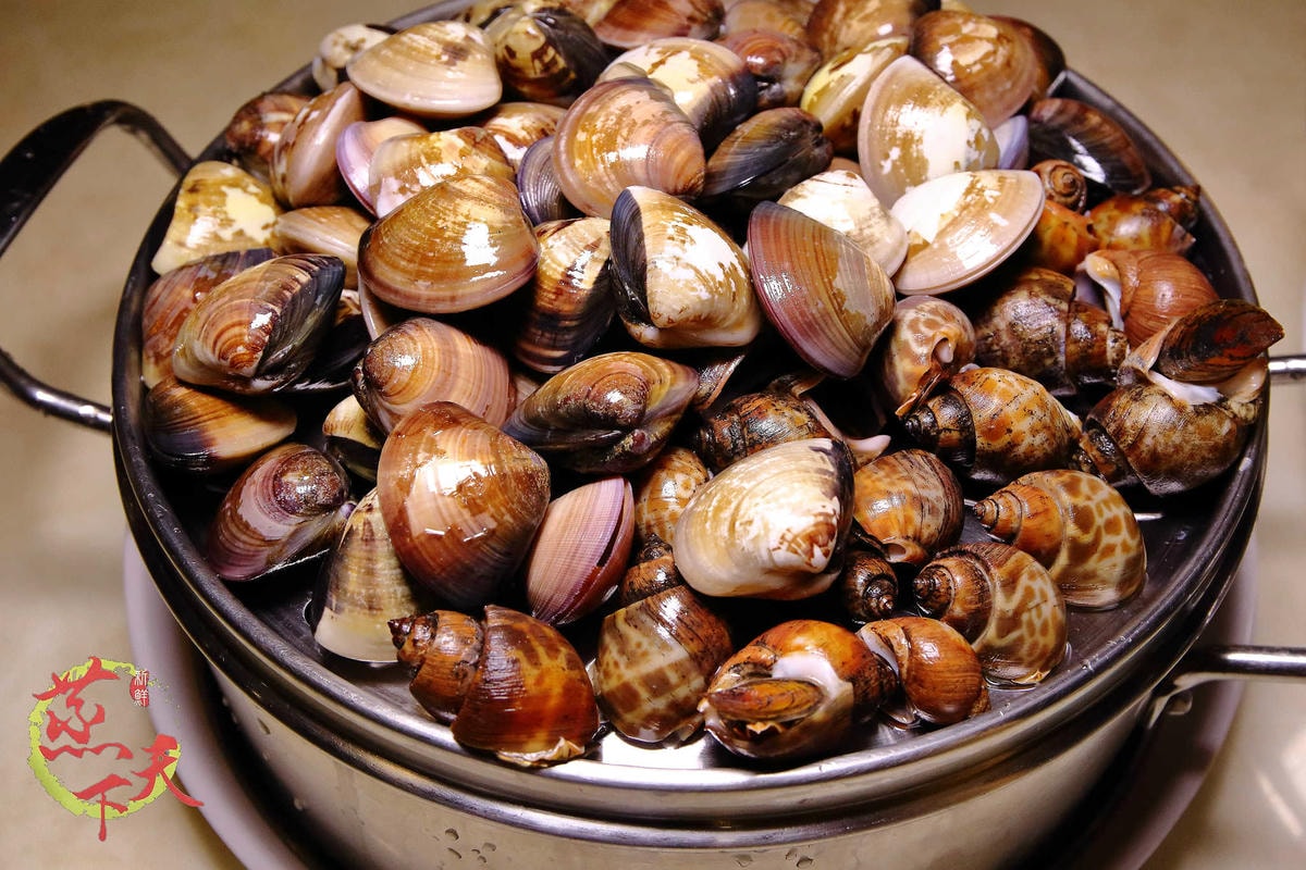 【食。板橋】蒸天下蒸氣火鍋〜夠『青』才敢大聲!「蒸」的料理,品嘗其最原始的美味!