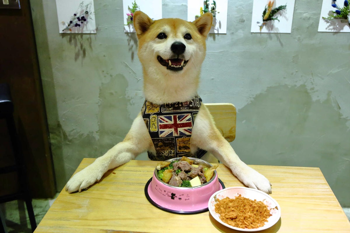 【寵物】群寶生活寵物保健食品〜寵物肉鬆益茵寶&毛膚樂,健康又美味簡單好上手,毛小子的最愛!