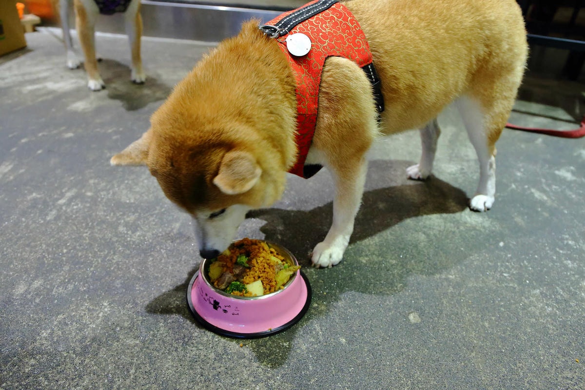 【寵物】群寶生活寵物保健食品〜寵物肉鬆益茵寶&毛膚樂,健康又美味簡單好上手,毛小子的最愛!