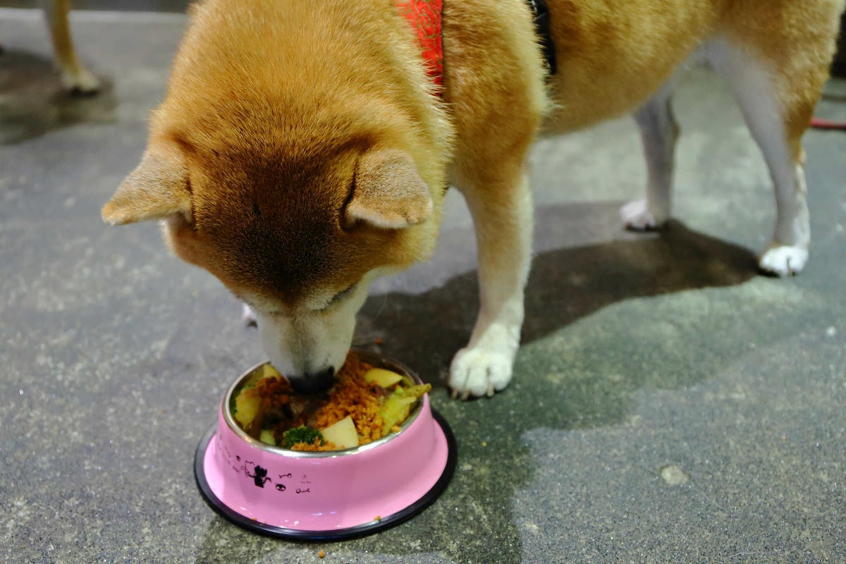 【寵物】群寶生活寵物保健食品〜寵物肉鬆益茵寶&毛膚樂,健康又美味簡單好上手,毛小子的最愛!