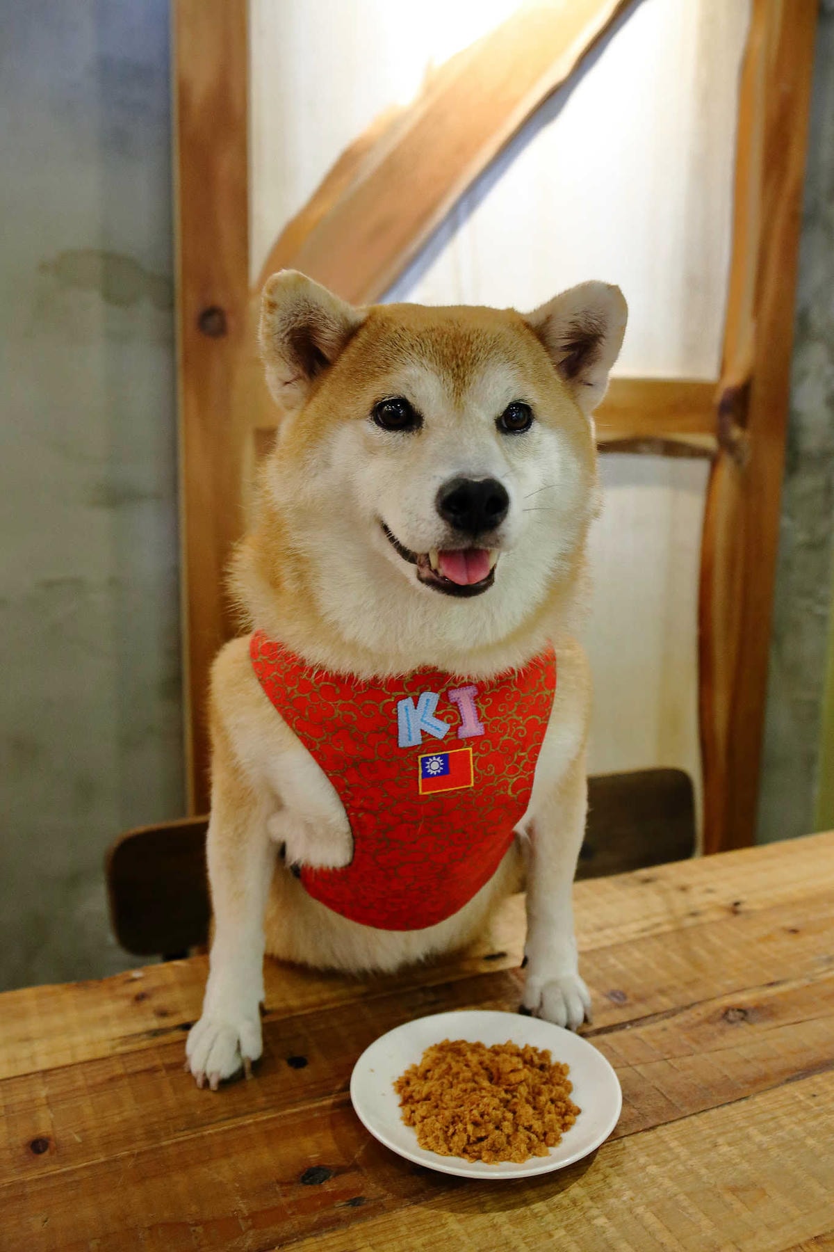 【寵物】群寶生活寵物保健食品〜寵物肉鬆益茵寶&毛膚樂,健康又美味簡單好上手,毛小子的最愛!