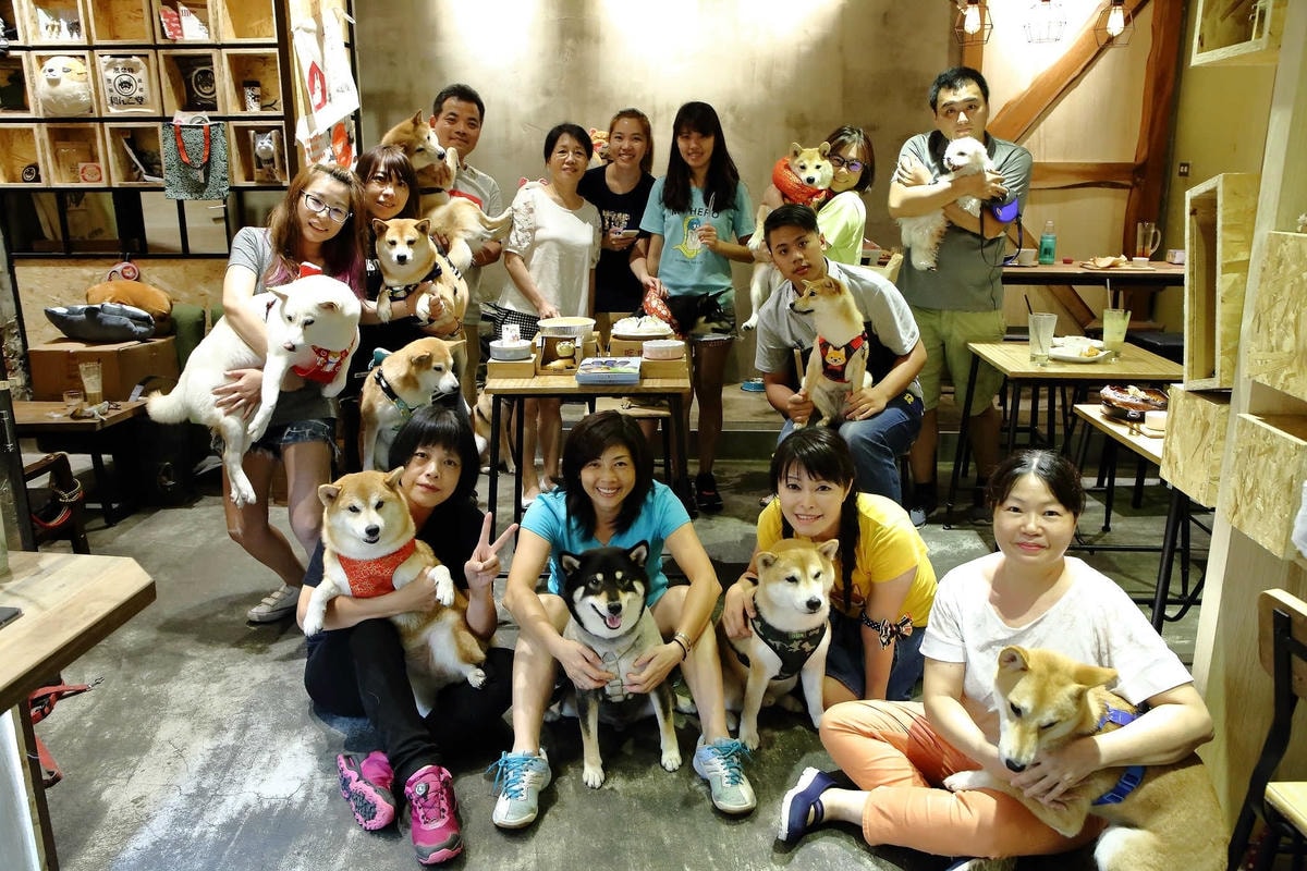 【寵物】群寶生活寵物保健食品〜寵物肉鬆益茵寶&毛膚樂,健康又美味簡單好上手,毛小子的最愛!