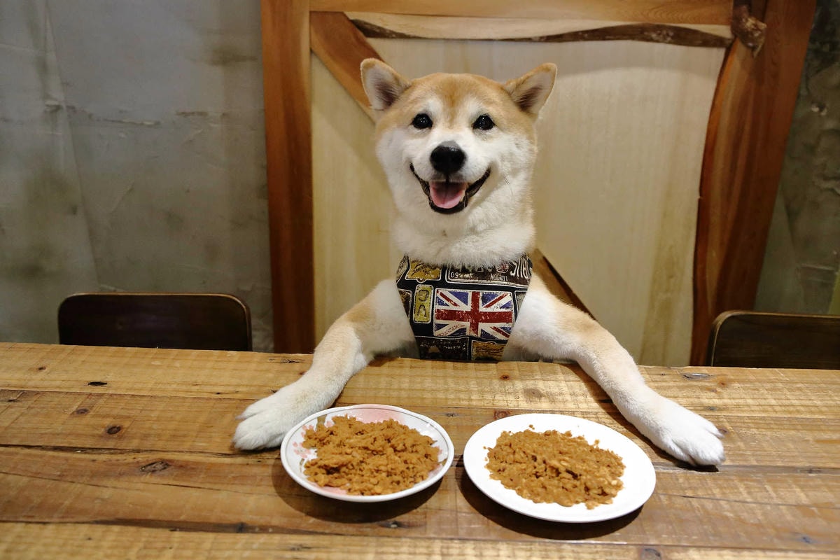 【寵物】群寶生活寵物保健食品〜寵物肉鬆益茵寶&毛膚樂,健康又美味簡單好上手,毛小子的最愛!