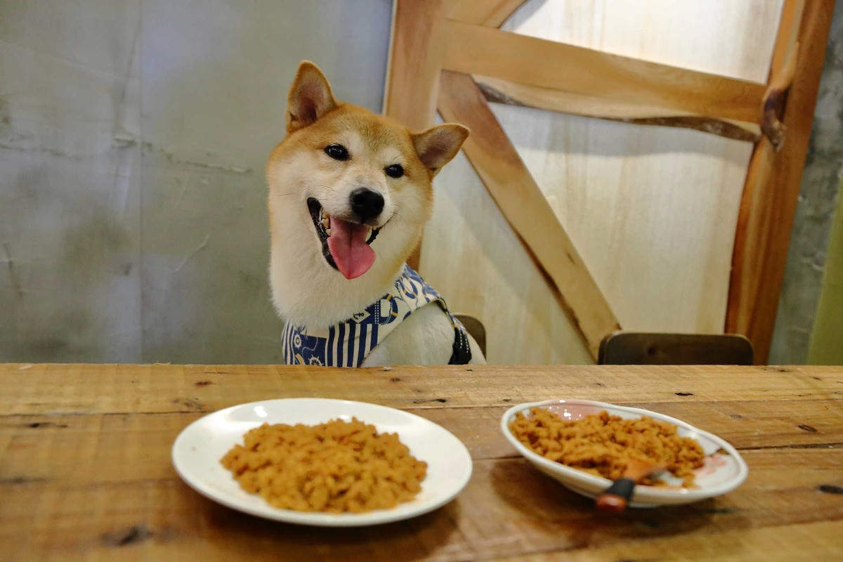 【寵物】群寶生活寵物保健食品〜寵物肉鬆益茵寶&毛膚樂,健康又美味簡單好上手,毛小子的最愛!