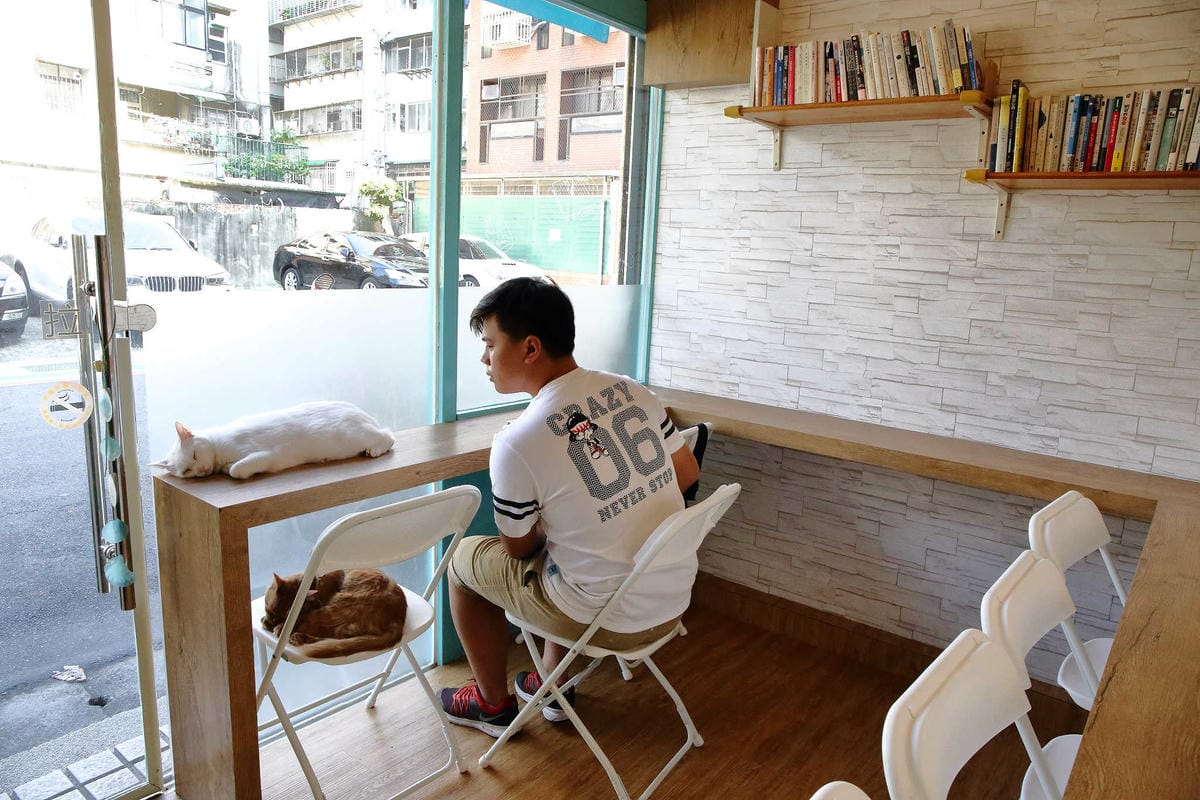 【食。台北】日安 Ciao〜古亭/早午餐帕尼尼。起司瀑布的邪惡美食！