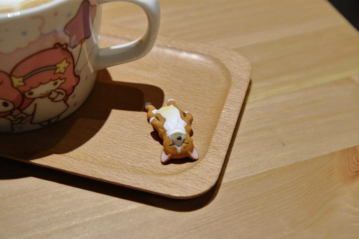 【食。台北】萌萌食堂〜民權西路站/早午餐輕食。超可愛的日式雜貨小屋，好想整間店扛回家，可愛店狗、店兔陪伴消磨美好時光…