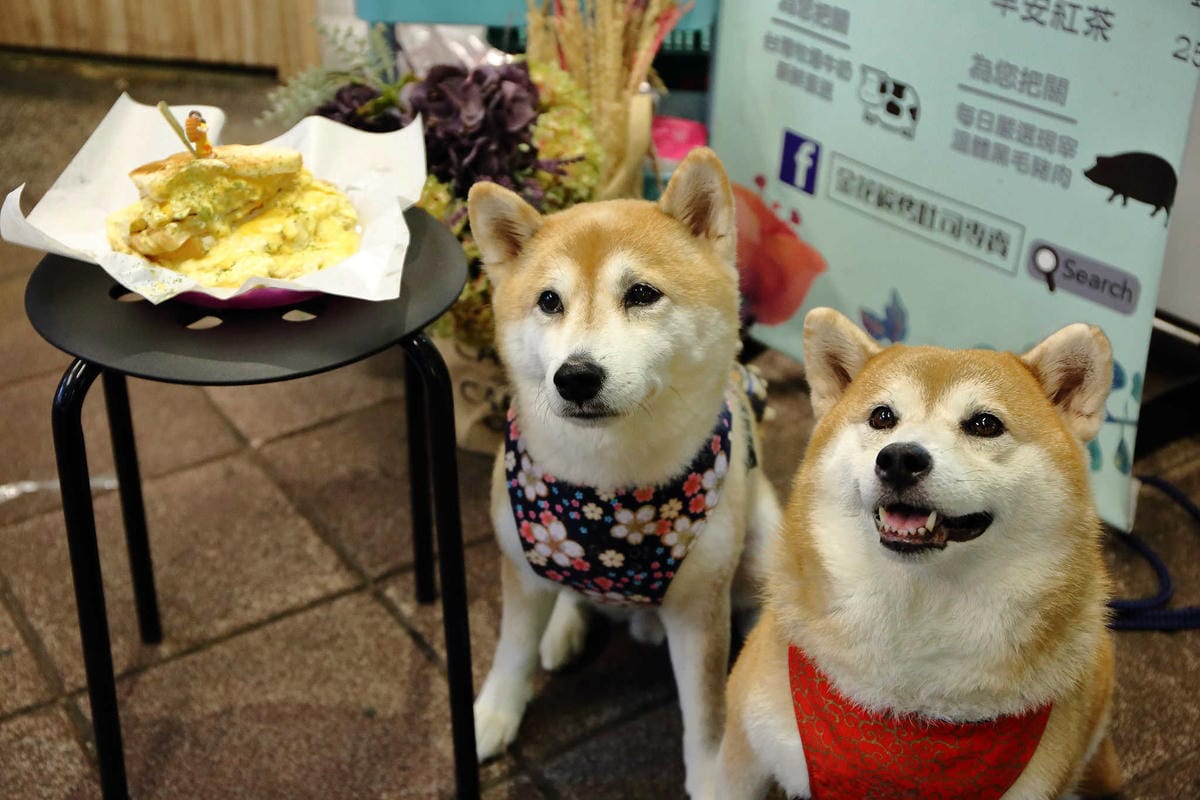【食。萬華】金花碳烤吐司專賣〜台北人氣碳烤土司。西門町必吃早餐，起司控必看！不吃會後悔喲！