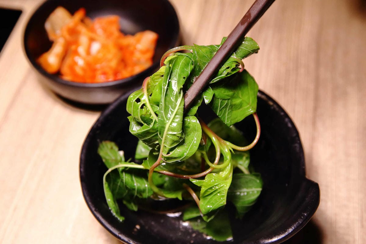 【食。中壢】健康主義精緻火鍋〜399元起平價壽喜燒吃到飽！野菜、頂級現切肉盤讓你吃到爽，CP值太高！(已歇業)