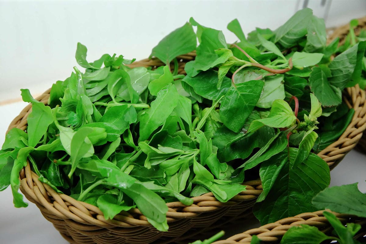 【食。中壢】健康主義精緻火鍋〜399元起平價壽喜燒吃到飽！野菜、頂級現切肉盤讓你吃到爽，CP值太高！(已歇業)