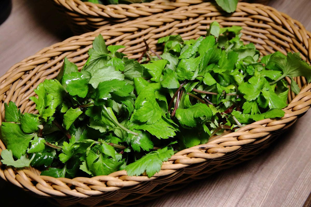 【食。中壢】健康主義精緻火鍋〜399元起平價壽喜燒吃到飽！野菜、頂級現切肉盤讓你吃到爽，CP值太高！(已歇業)