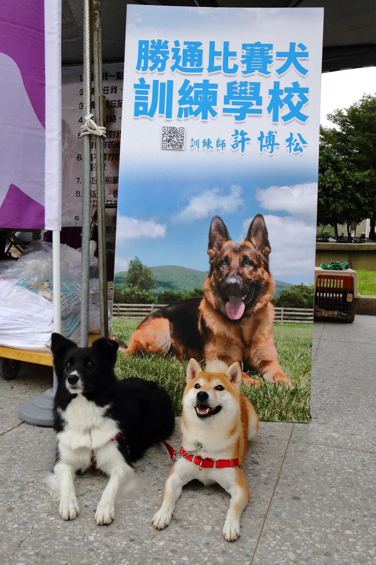 【動物星球】2017動保桃花園-打造桃樂動物友善城市〜桃園動保處 / 貓狗認養 / 領養代替購買 ,毛寶貝們誓言寵牠一輩子!