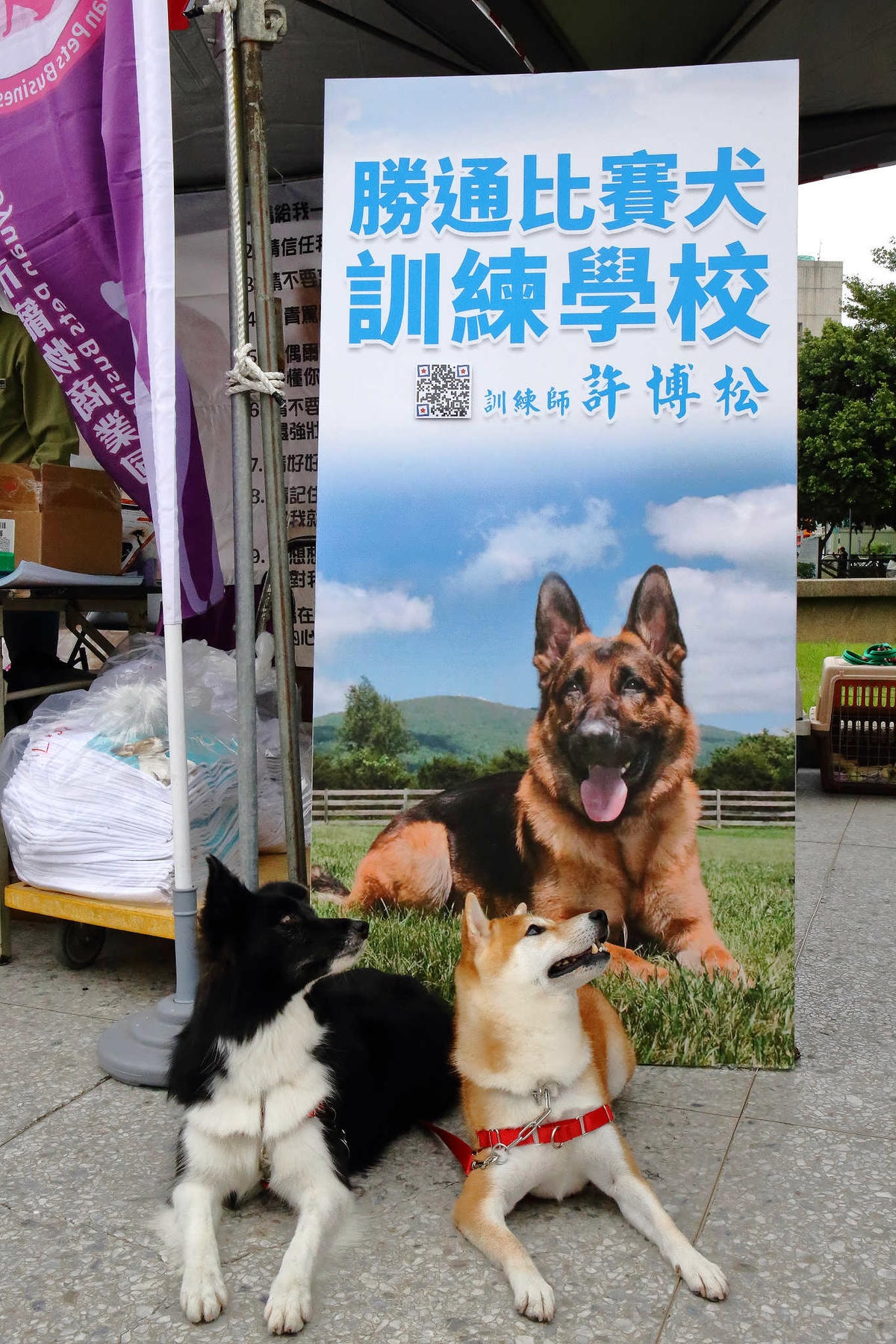 【動物星球】2017動保桃花園-打造桃樂動物友善城市〜桃園動保處 / 貓狗認養 / 領養代替購買 ,毛寶貝們誓言寵牠一輩子!