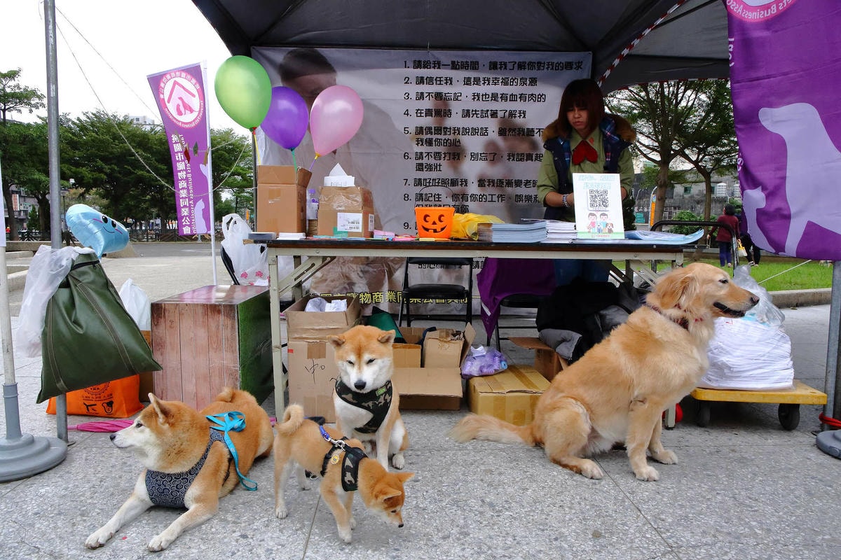【動物星球】2017動保桃花園-打造桃樂動物友善城市〜桃園動保處 / 貓狗認養 / 領養代替購買 ,毛寶貝們誓言寵牠一輩子!