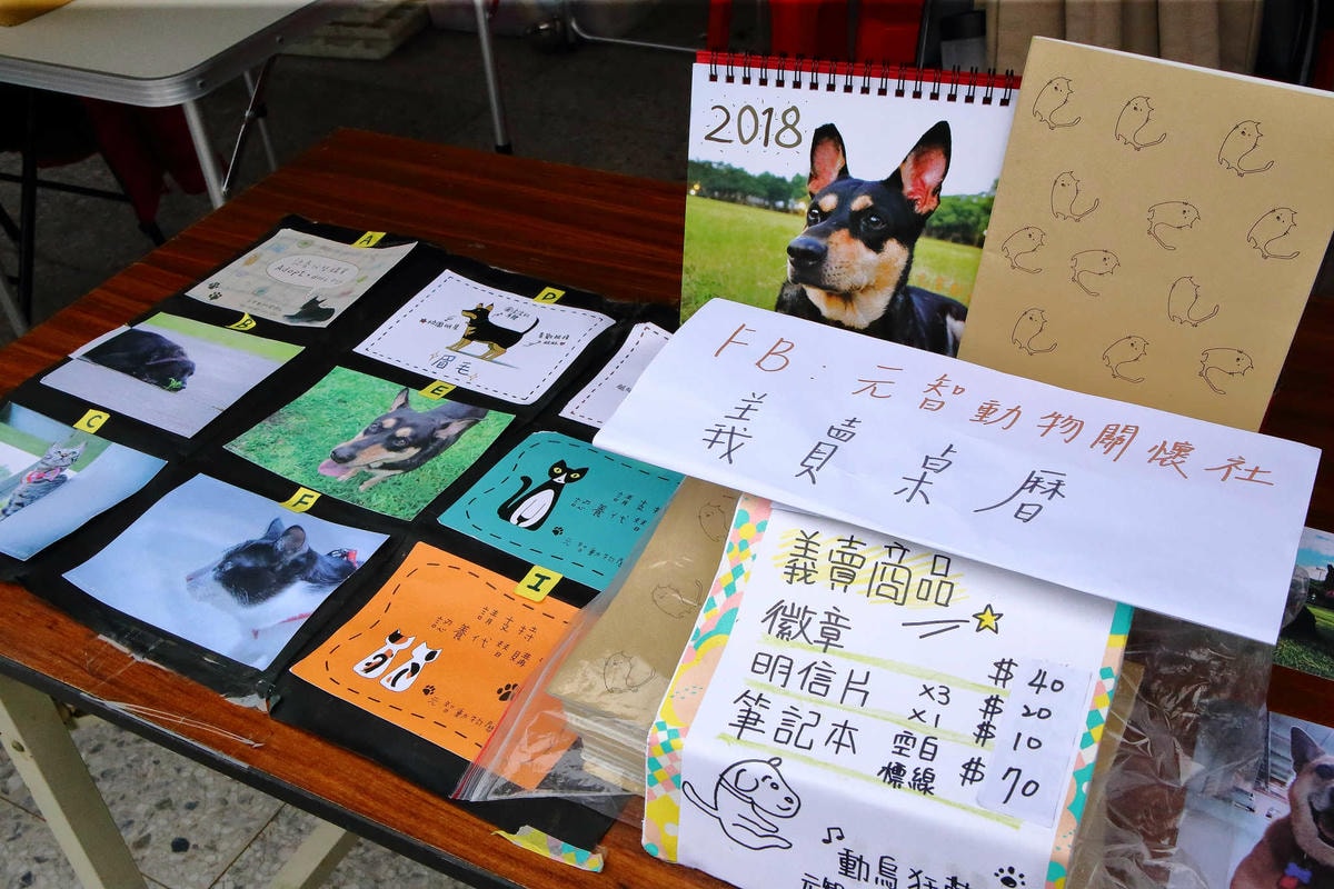 【動物星球】2017動保桃花園-打造桃樂動物友善城市〜桃園動保處 / 貓狗認養 / 領養代替購買 ,毛寶貝們誓言寵牠一輩子! - 第19張圖 【動物星球】2017動保桃花園-打造桃樂動物友善城市〜桃園動保處 / 貓狗認養 / 領養代替購買 ,毛寶貝們誓言寵牠一輩子!