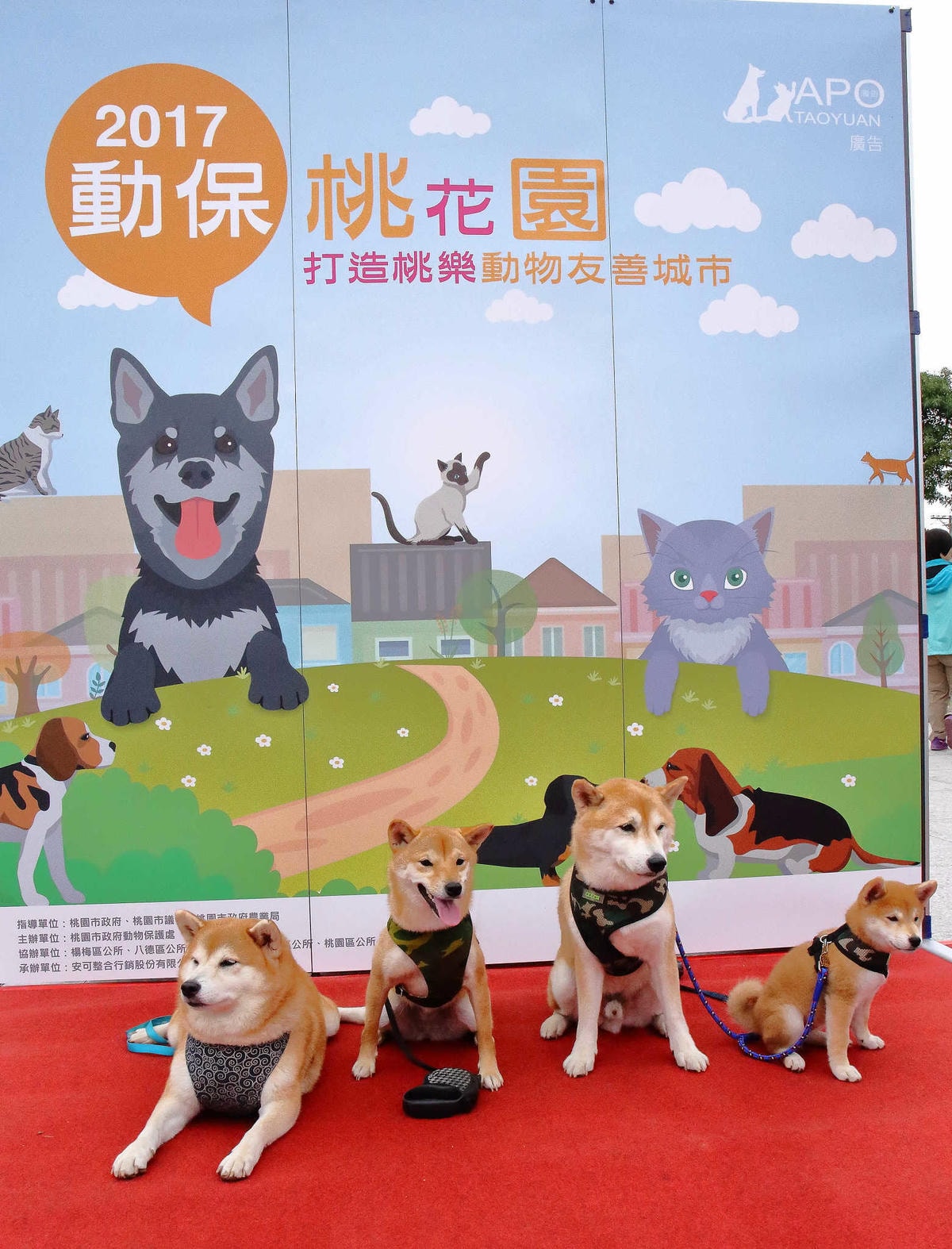 【動物星球】2017動保桃花園-打造桃樂動物友善城市〜桃園動保處 / 貓狗認養 / 領養代替購買 ,毛寶貝們誓言寵牠一輩子!