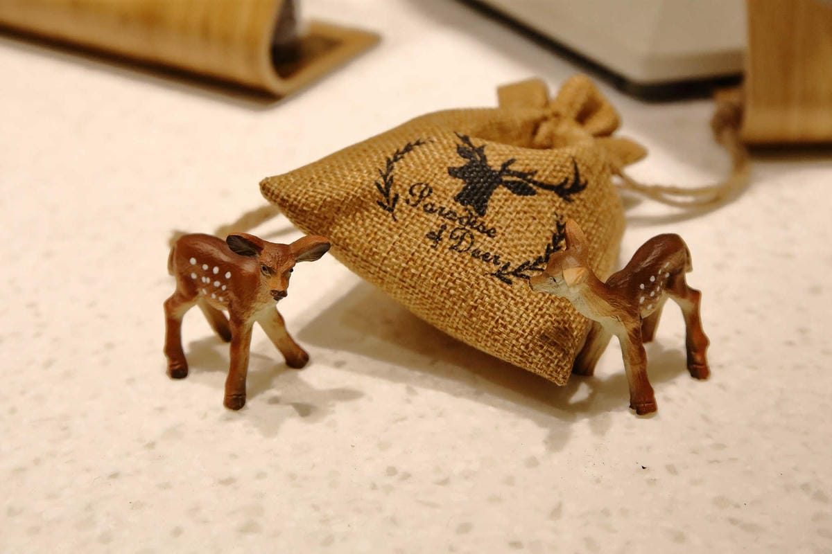 【食。桃園】鹿點咖啡 Luna桃園店〜第三家分店新開幕搶先報！帶我去月球！夢想實現，把月球搬進店裡？！