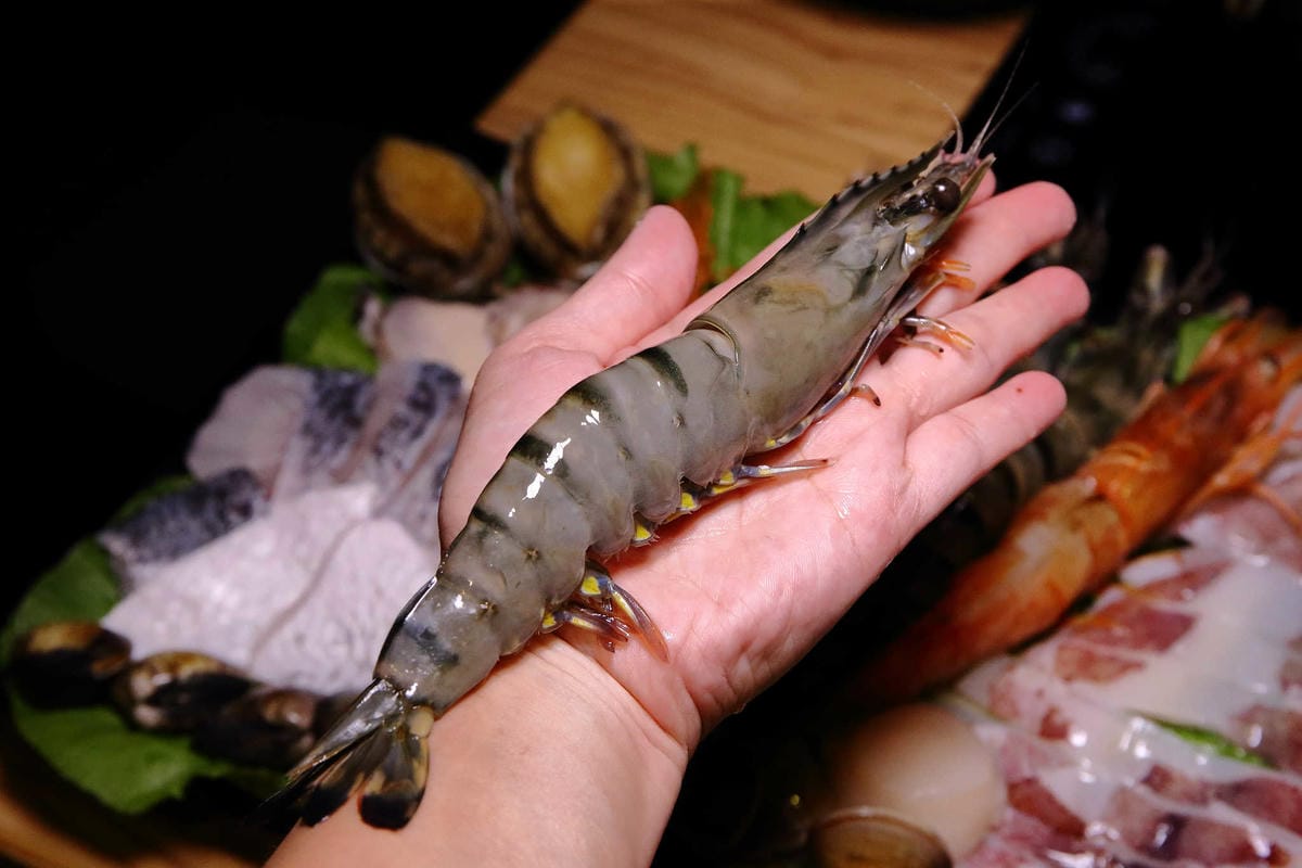 【食。板橋】金鍋盃板橋加盟店〜板橋火鍋推薦。霸氣海鮮船超浮誇！大份量滿足饕客們的味覺享受！