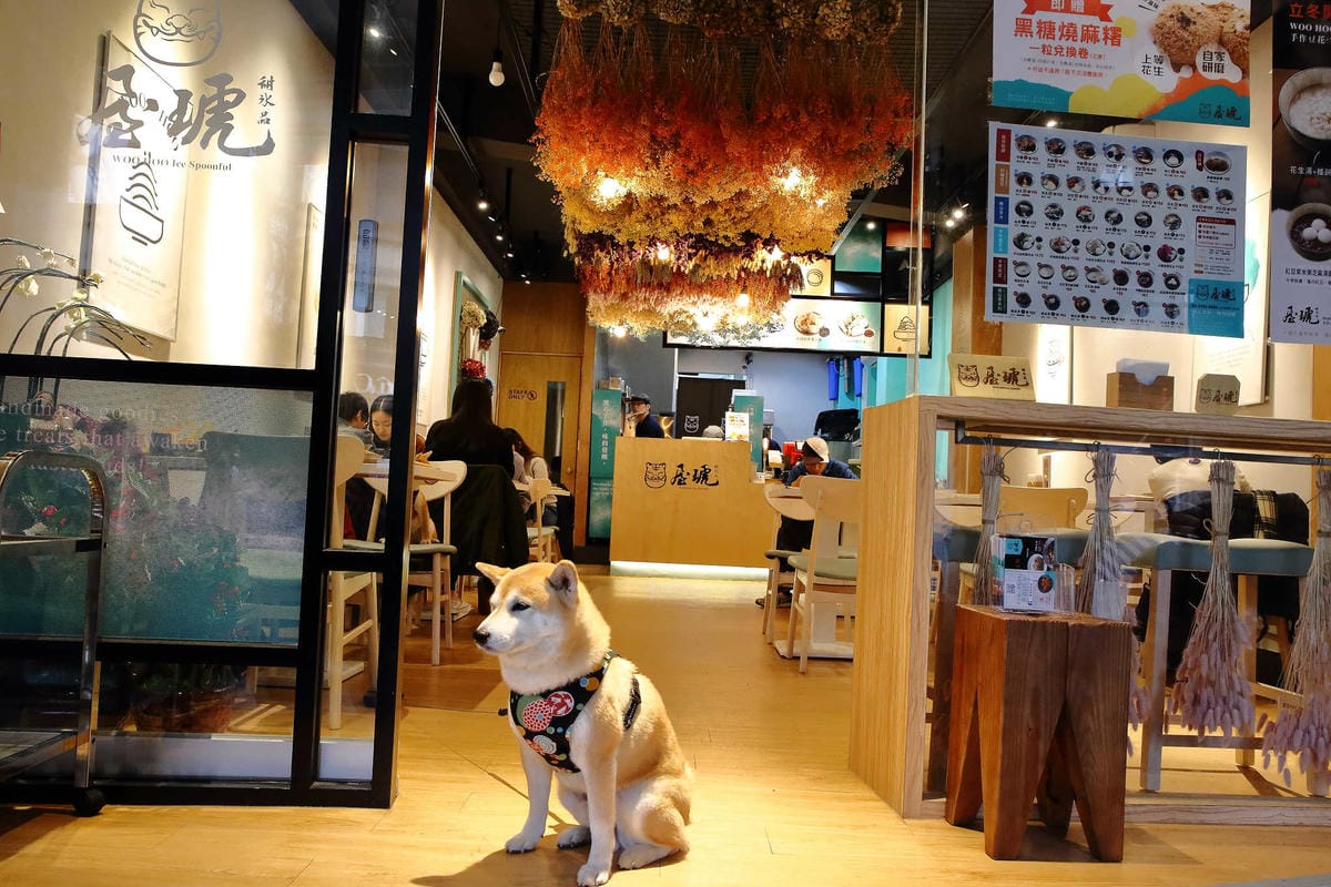 【食。台北】屋琥甜冰品〜冬日到，來碗熱呼呼的暖心甜湯！最新IG打卡美食，中正紀念堂冰品，浪漫繽紛乾燥花海