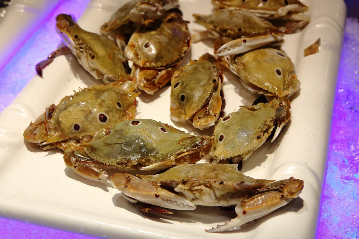 【食。中壢】千葉火鍋-環中尊爵館〜桃園中壢火鍋吃到飽。火鍋界的霸主!超值火鍋百匯吃到飽一網打盡!