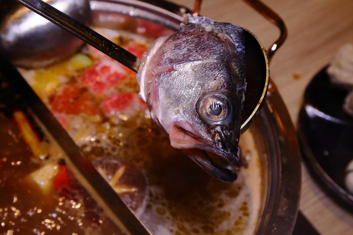 【食。台北】激安の鍋物 吉烹酒場〜超便宜東區火鍋推薦!熱炒與鍋物的衝擊,視覺及味覺雙重饗宴一次滿足!
