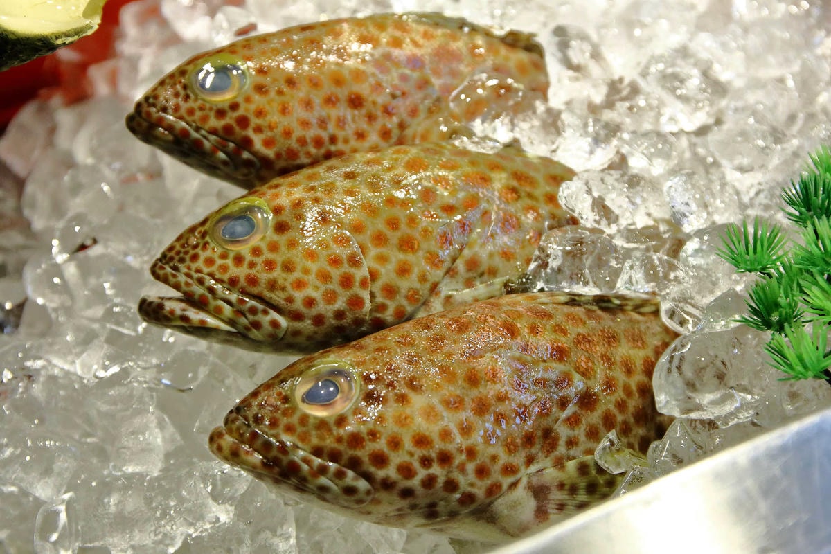 【食。林口】蒸翻天海鮮蒸氣火鍋餐廳〜愛吃海鮮必看!海鮮火鍋也能這樣吃?層層疊疊就是這樣吃才霸氣!