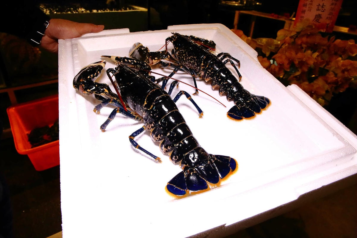 【食。林口】蒸翻天海鮮蒸氣火鍋餐廳〜愛吃海鮮必看!海鮮火鍋也能這樣吃?層層疊疊就是這樣吃才霸氣!