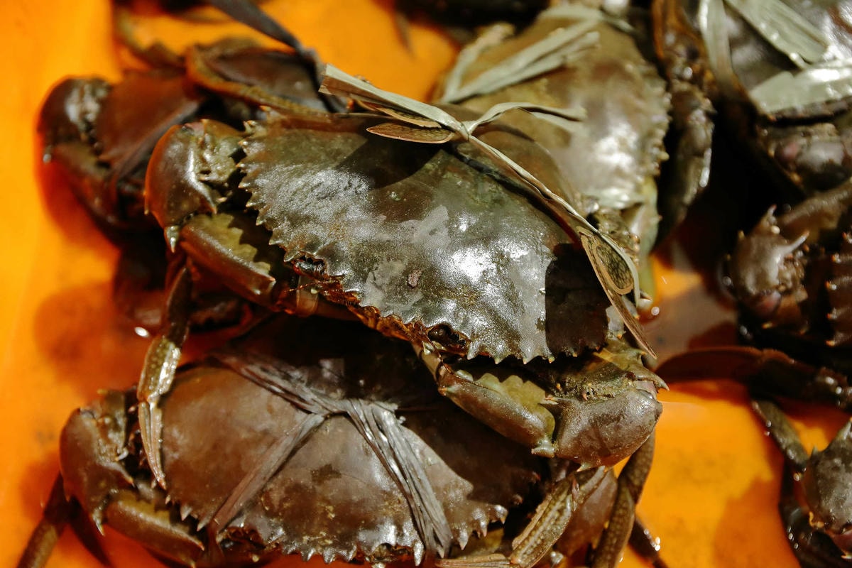 【食。林口】蒸翻天海鮮蒸氣火鍋餐廳〜愛吃海鮮必看!海鮮火鍋也能這樣吃?層層疊疊就是這樣吃才霸氣!