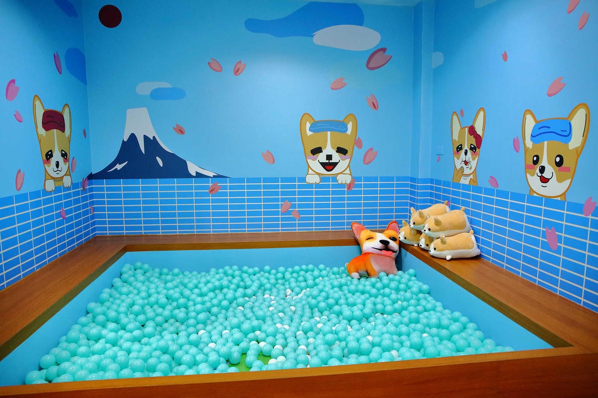 【食。永和】柯基燒點心舖〜新開店!IG打卡新熱點!隱身在小巷可愛甜品,還有歡樂泡湯球池(已歇業)