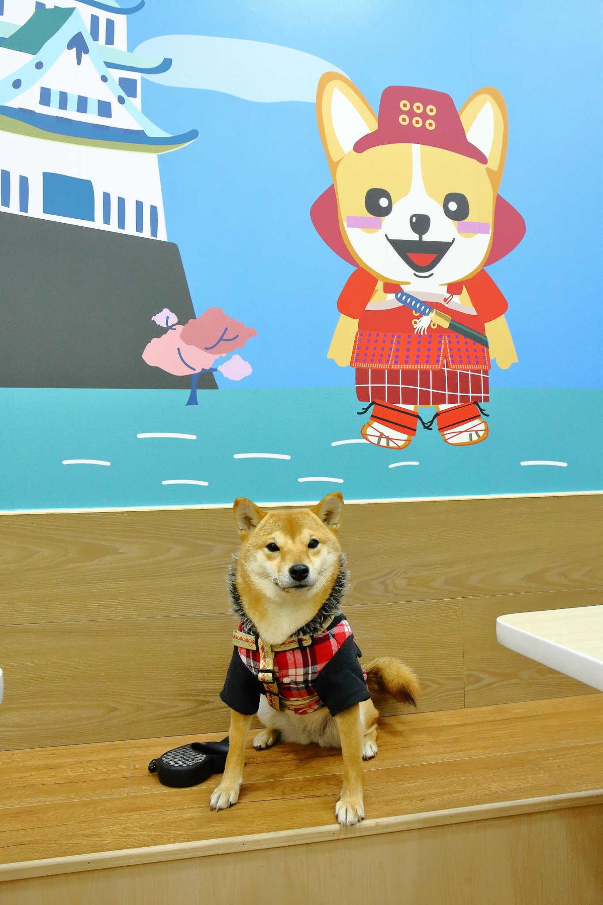 【食。永和】柯基燒點心舖〜新開店!IG打卡新熱點!隱身在小巷可愛甜品,還有歡樂泡湯球池(已歇業)