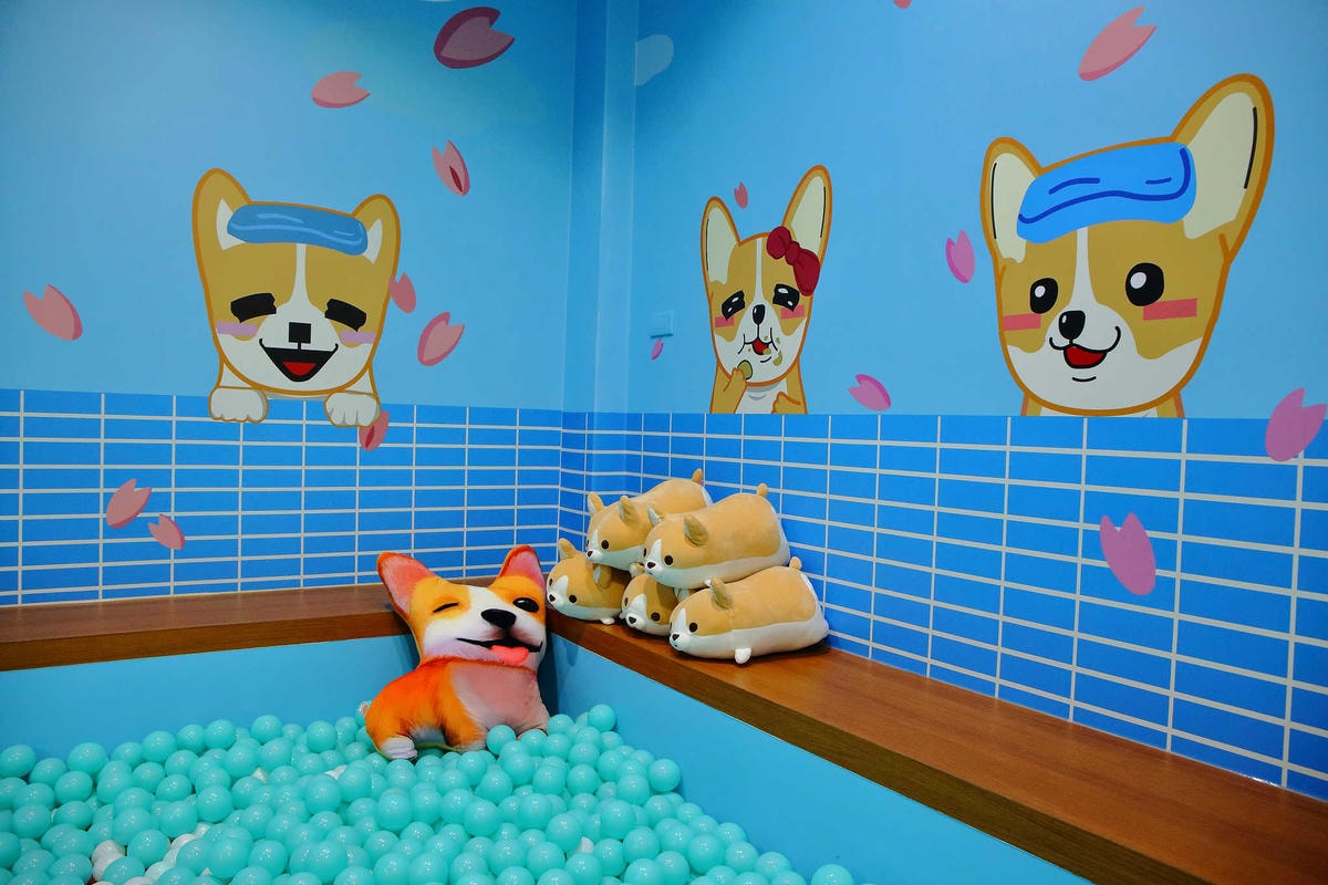 【食。永和】柯基燒點心舖〜新開店!IG打卡新熱點!隱身在小巷可愛甜品,還有歡樂泡湯球池(已歇業)