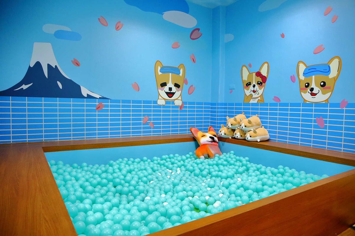 【食。永和】柯基燒點心舖〜新開店!IG打卡新熱點!隱身在小巷可愛甜品,還有歡樂泡湯球池(已歇業)