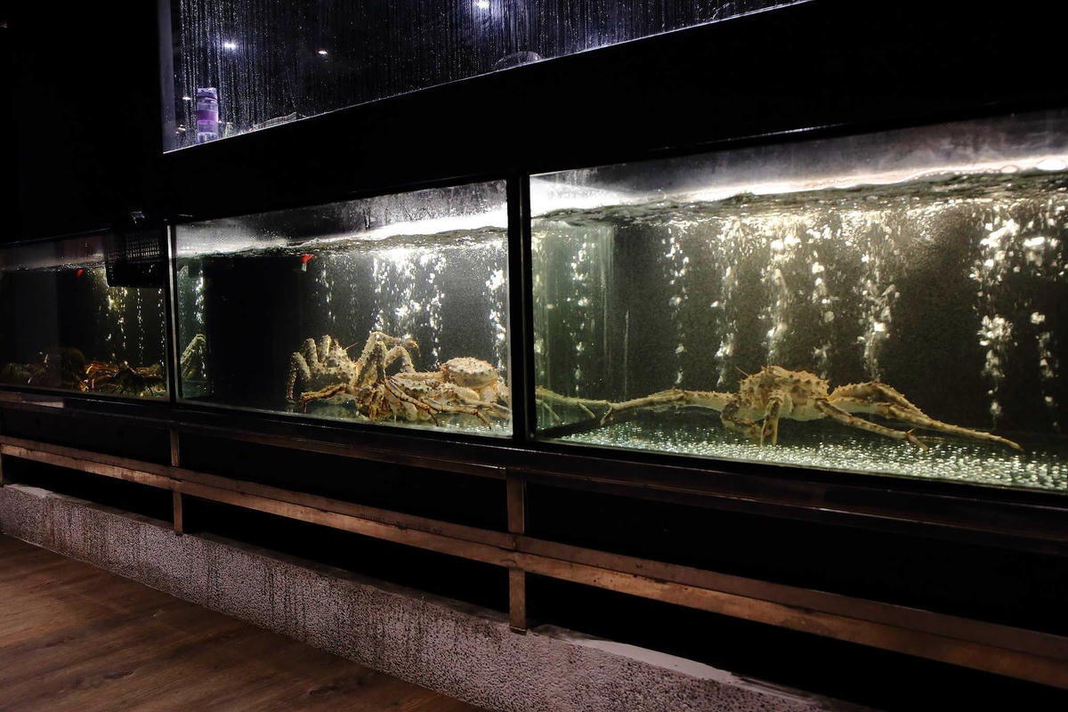 【食。桃園】圓味涮涮鍋(桃園店) 〜桃園火鍋。新鮮直送,澎派海鮮!想不到,火鍋也有這麼精緻的三層架!(已歇業)