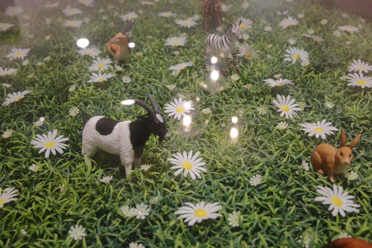 【食。桃園】Daisy Cafe〜桃園甜點下午茶推薦。網美IG打卡最愛午茶！高質感法式甜點，不用150元就能吃的到？